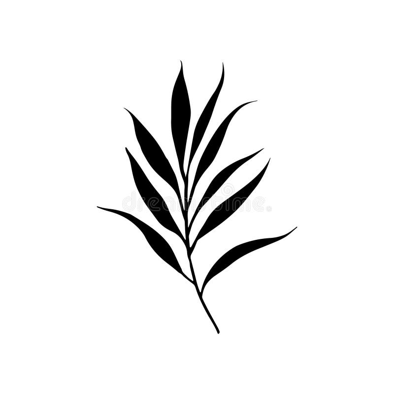 Rent botaniskt emblem. Skarp, svart bladillustration med minsta elegans idealisk som ett typemblemets logotyp eller tatuering royaltyfri illustrationer