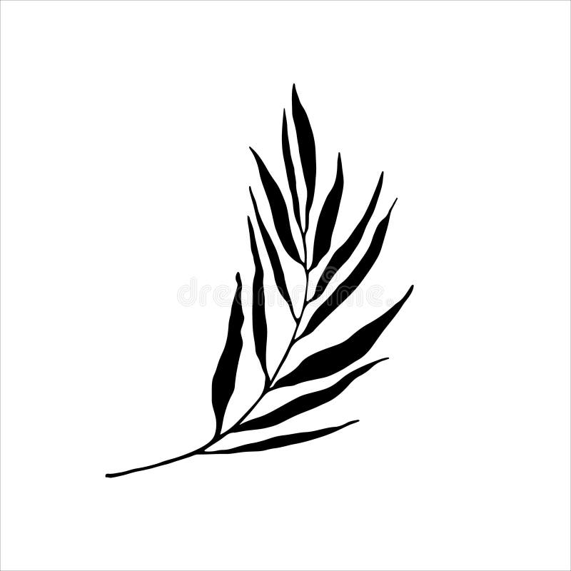 Rent botaniskt emblem. Skarp, svart bladillustration med minsta elegans idealisk som ett typemblemets logotyp eller tatuering royaltyfri illustrationer