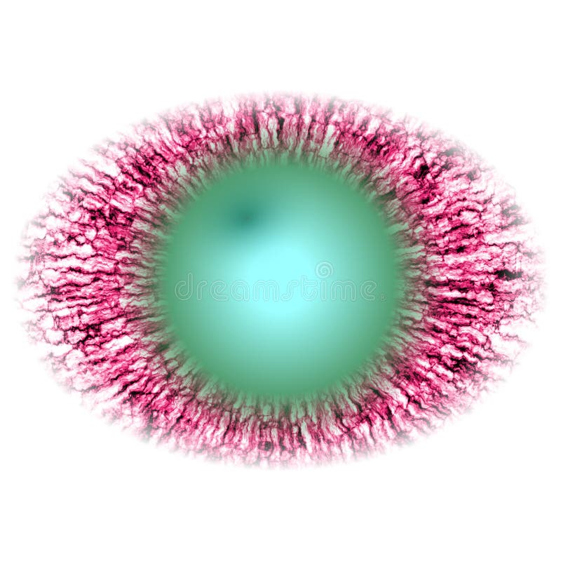 Rentgen Photo. Isolated Elliptic Animal Red Eye with Large Pupil and Bright  Retina Stock Illustration - Illustration of macro, background: 105018894
