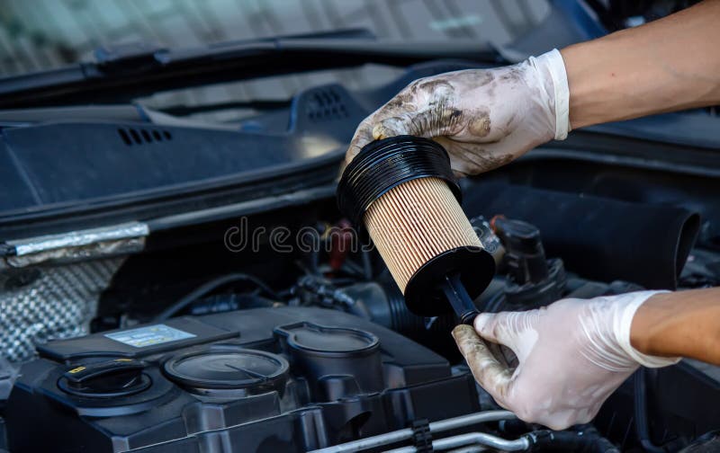Replacing the Oil Filter on the Car. Stock Photo Image of filter