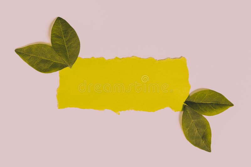 Replacing Old Wallpaper Design, Creating New Wall Pattern Layout, Academic Breakthrough, Displaying Progress, Exhibiting. Replacing Old Wallpaper Design, Creating New Wall Pattern And Layout