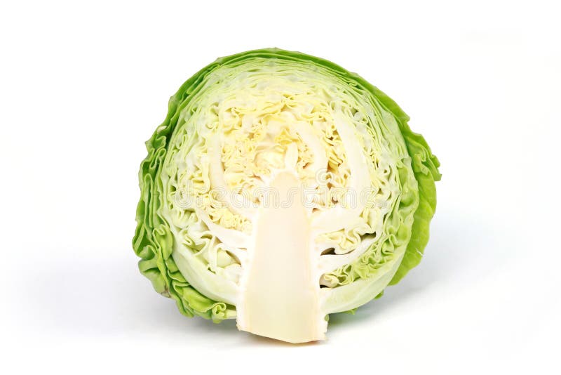 Repolho dividido em duas partes. fotografia de stock
