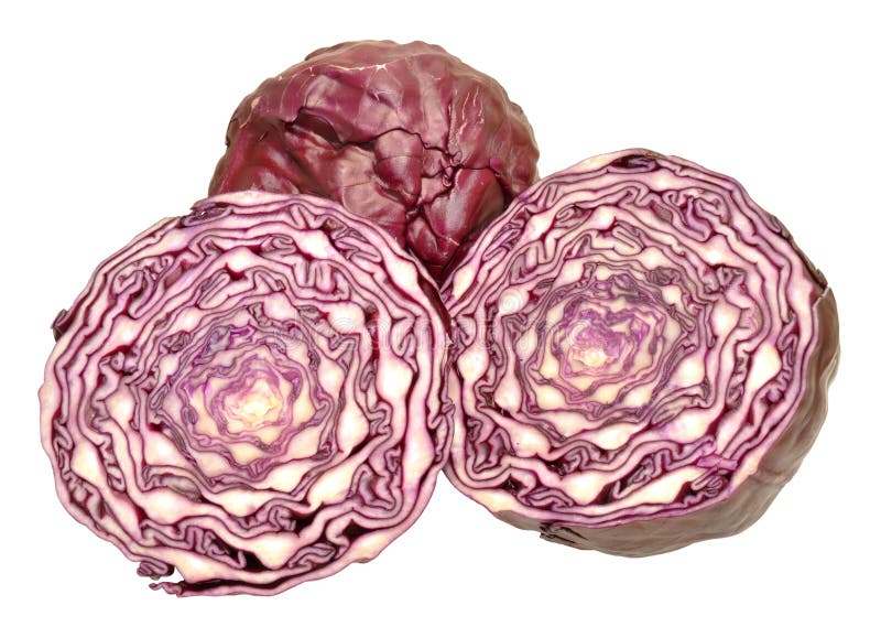 Repolho vermelho cortado dentro parcialmente imagem de stock royalty free
