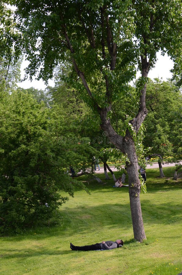 Repos sous l'arbre. Un homme dort à la nuance d'un arbre en enlevant ses chaussures