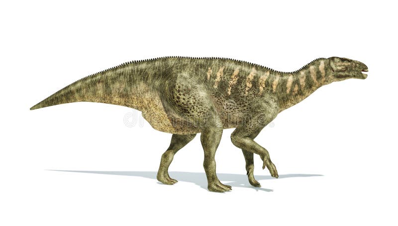 Representação photorealistic do dinossauro de Iguanodon, vista lateral. ilustração royalty free Representação photorealistic do dinossauro de Iguanodon, vista lateral. ilustração royalty free