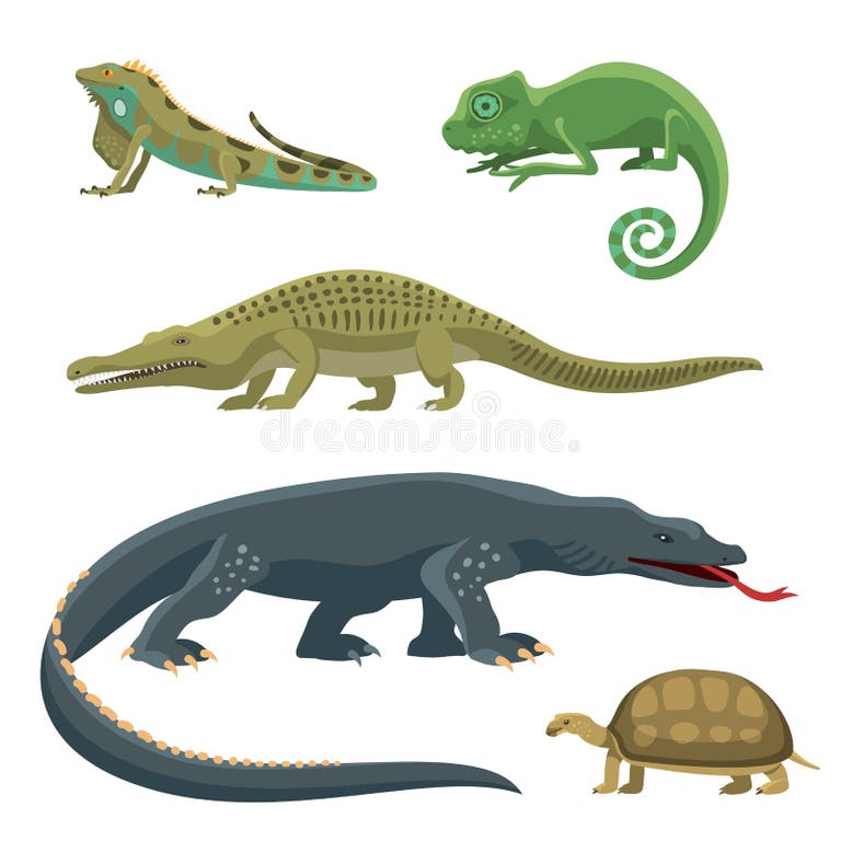 Fauna Predator Stock Illustrations – 49,765 Fauna Predator Stock
