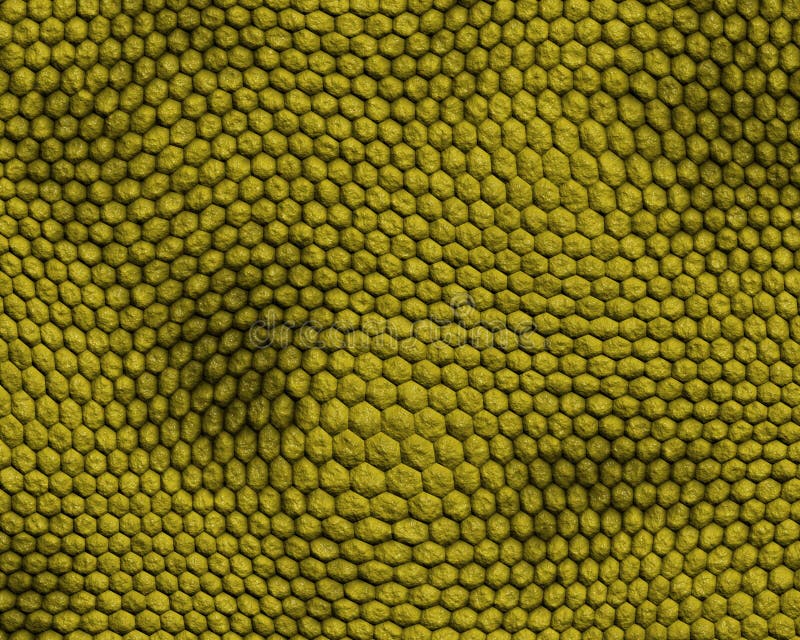 Reptile skin background rough