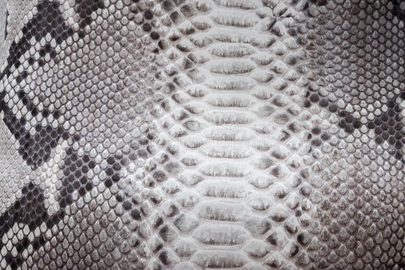 zigzag lines watersnake zigzag lines watersnake