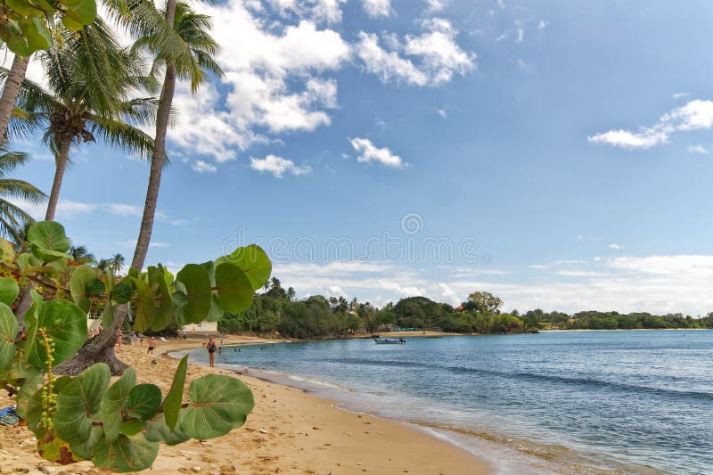 Republic of Trinidad and Tobago - Tobago island - Mt. Irvine bay - Tropical beach of Caribbean sea