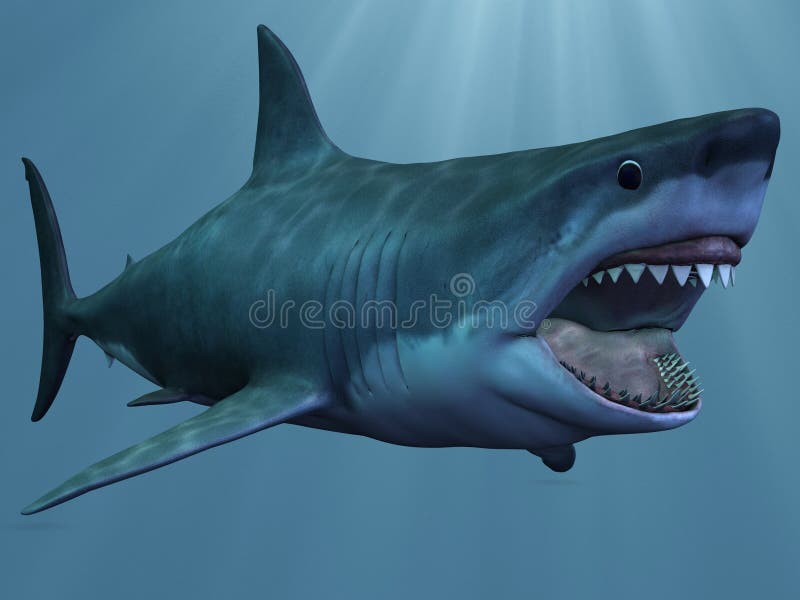 3D Render of an Great White Shark. 3D Render of an Great White Shark