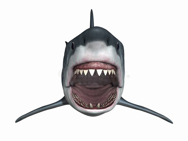 3D Render of an Great White Shark. 3D Render of an Great White Shark