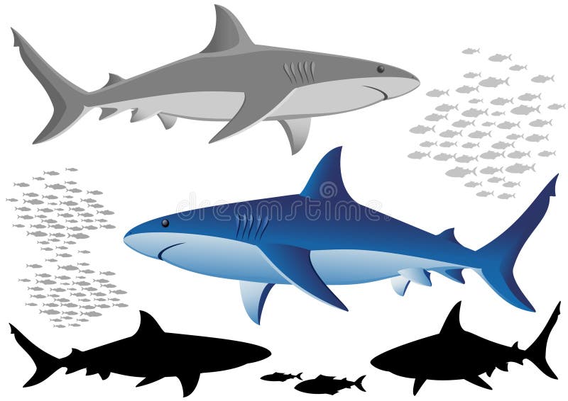 Sharks and fish - isolated on white. Additional vector format in EPS (v. 8). Sharks and fish - isolated on white. Additional vector format in EPS (v. 8).