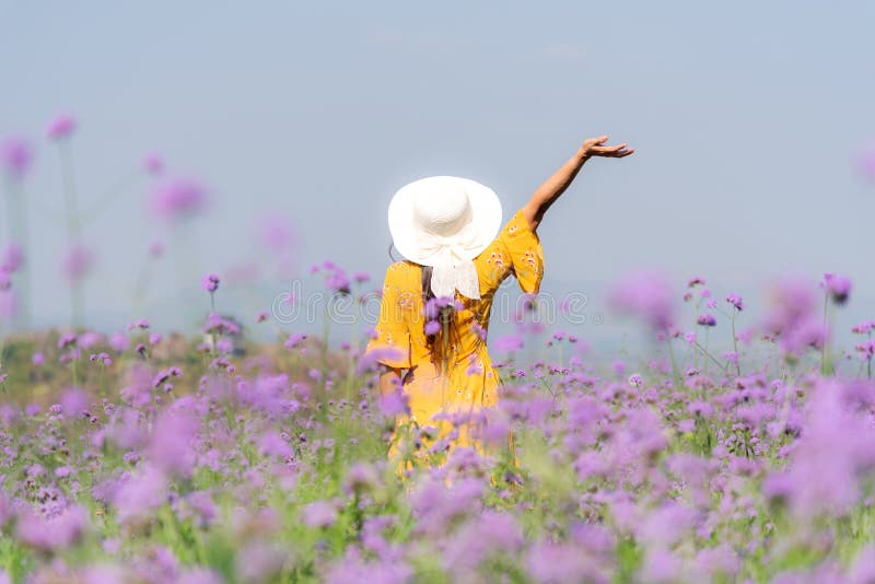 Resande eller turism - asiatiska kvinnor står och kyllar i lila verbena-blomman under semestertid Människors frihet och frihet royaltyfri bild Resande eller turism - asiatiska kvinnor står och kyllar i lila verbena-blomman under semestertid Människors frihet och frihet royaltyfri bild
