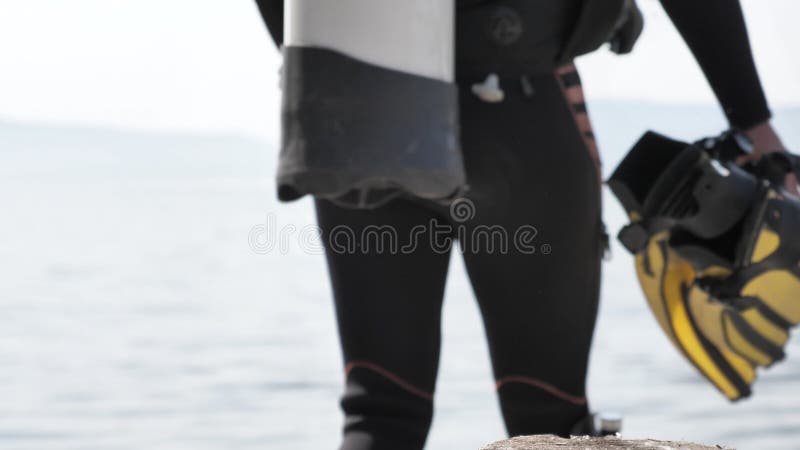 Diver takes mask and flippers ready to submergence