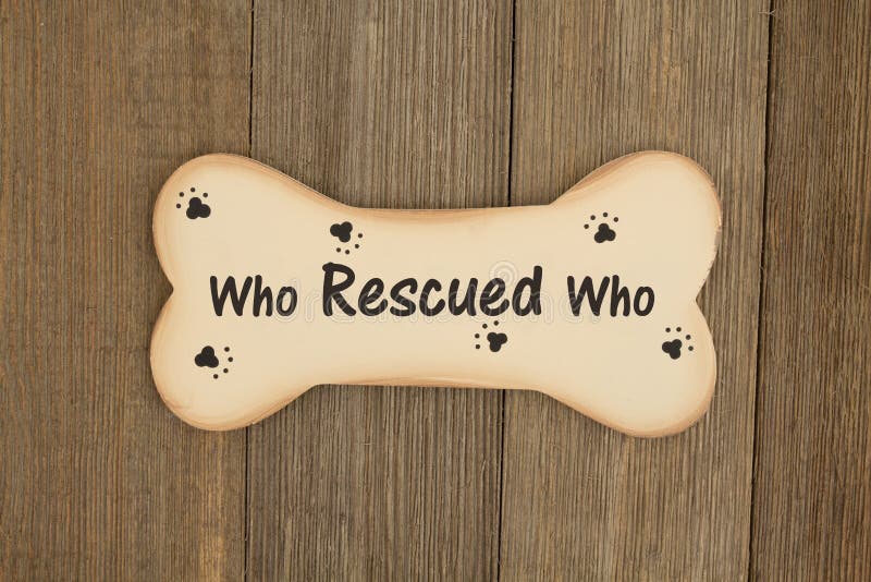 Rescuing a dog message on wood dog bone