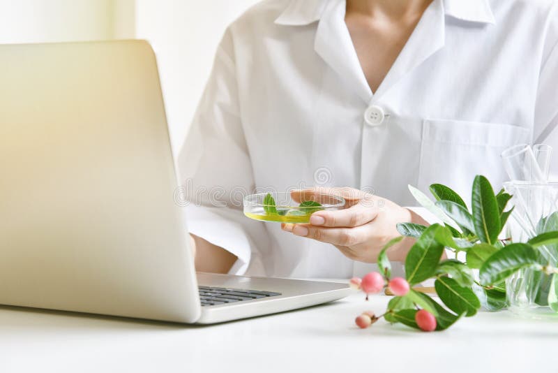 Research and development concept. Scientist use laptop computer for natural organic extraction drug research. stock photography Research and development concept. Scientist use laptop computer for natural organic extraction drug research. stock photography
