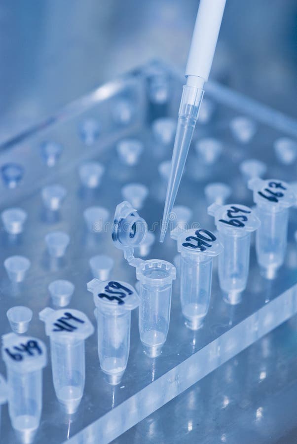 Research in laboratory royalty free stock photography