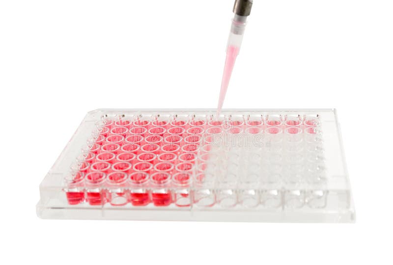 Microplate for ELISA with HIV Abbreviation Stock Image Image of