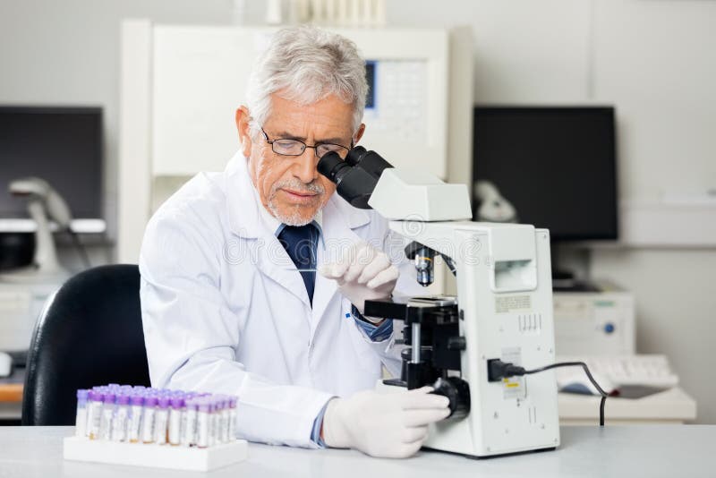 Researcher Examining Microscope Slide In Lab stock images