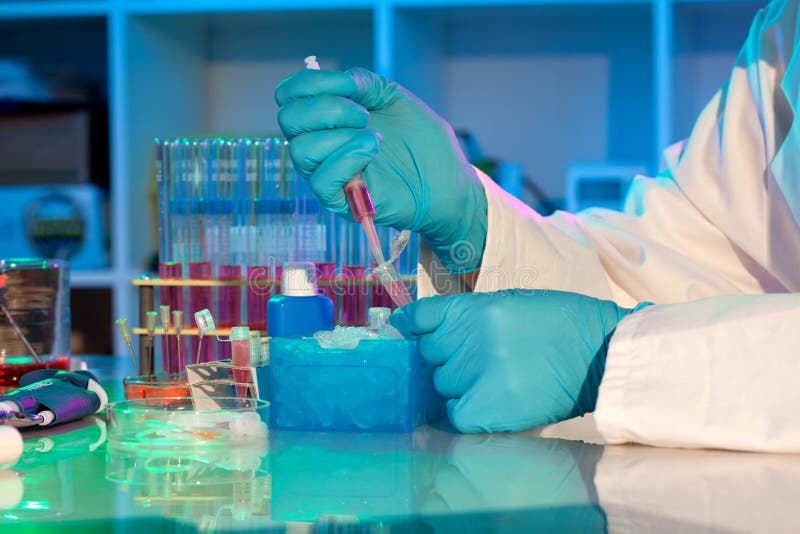 Researcher for PCR analysis stock photography