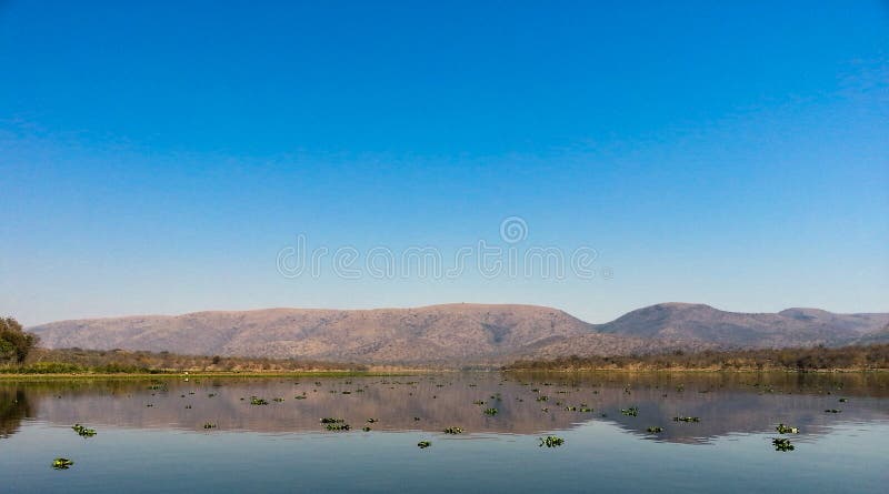 Reserva de naturaleza de Loskop fotografía de archivo libre de regalías Reserva de naturaleza de Loskop fotografía de archivo libre de regalías