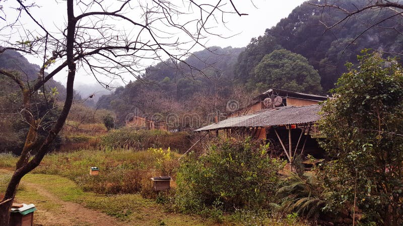 The residence of the `savage` in the Mountain forest stock images The residence of the `savage` in the Mountain forest stock images