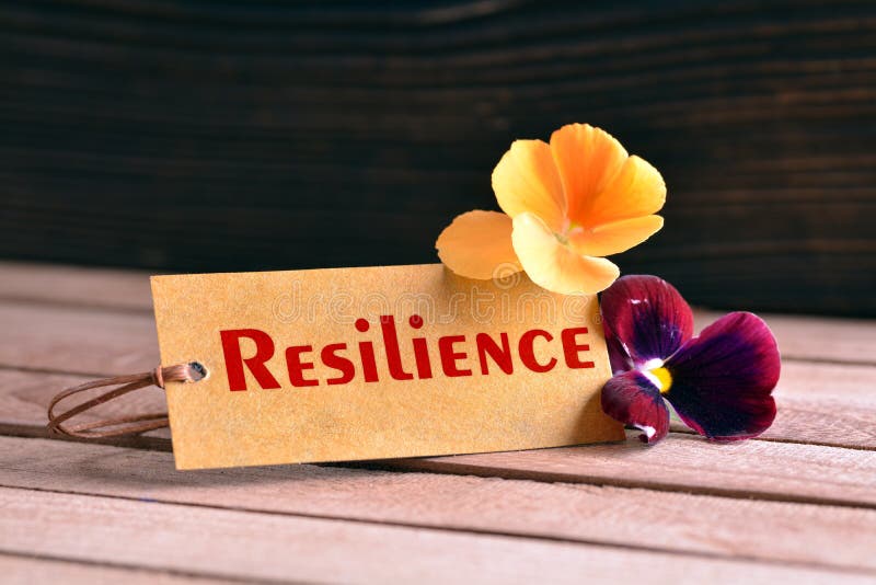 4,732 Resilience Photos - Free & Royalty-Free Stock Photos from Dreamstime