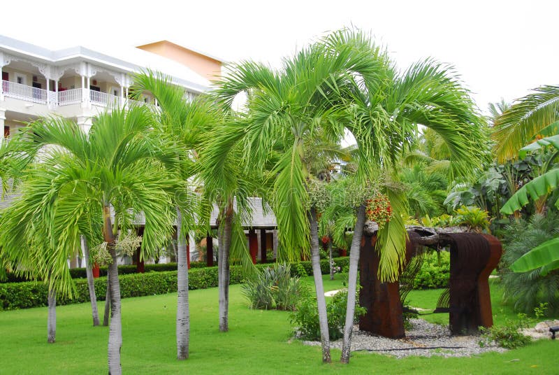 Resort Tropical garden