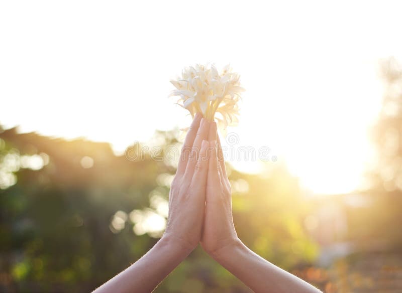 Respectez et priez avec la fleur sur le fond de nature photo libre de droits Respectez et priez avec la fleur sur le fond de nature photo libre de droits