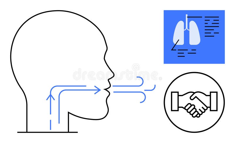 Respiratory health. Highlighting breathing airflow, lung function, and collaborative health management. Respiratory system visualization with airflow, lung anatomy, and cooperation. For healthcare. Airflow symbol vectors