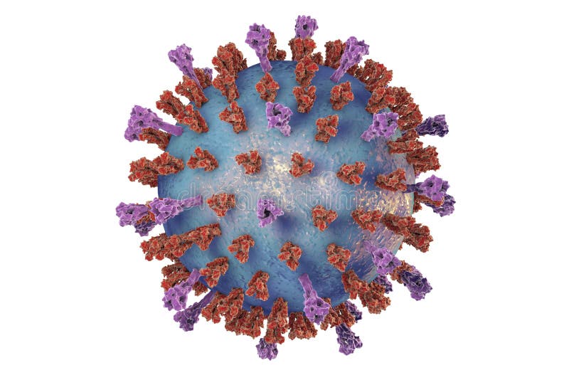 Respiratory syncytial virus