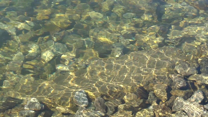 Resplandor de Sun debajo del agua, en la parte inferior de piedra del río Slowmo HD lleno