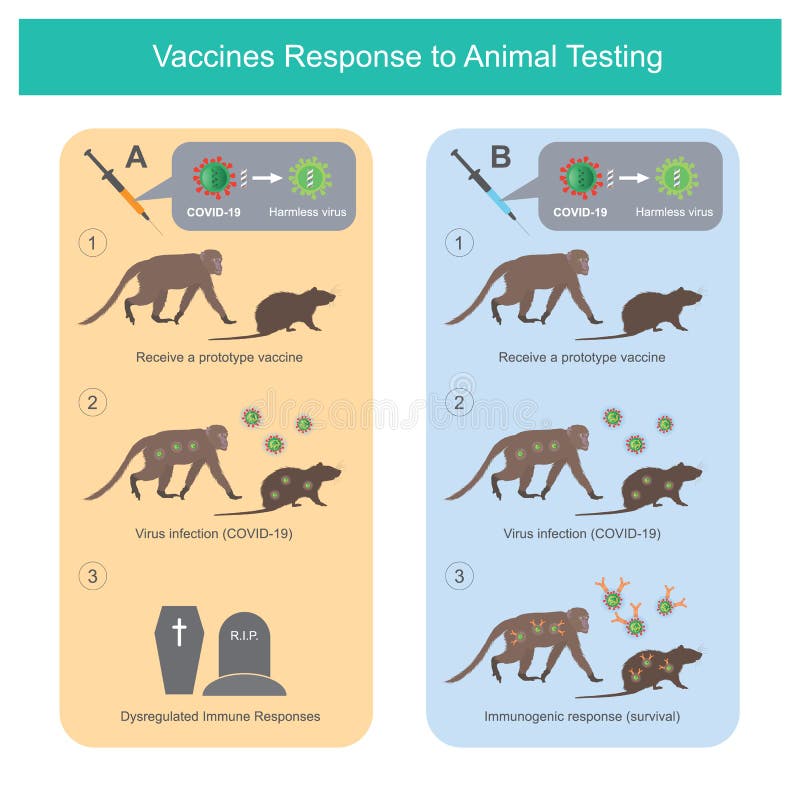 Resposta a testes em animais. ilustração da utilização médica para comparar vacinas do tipo 2