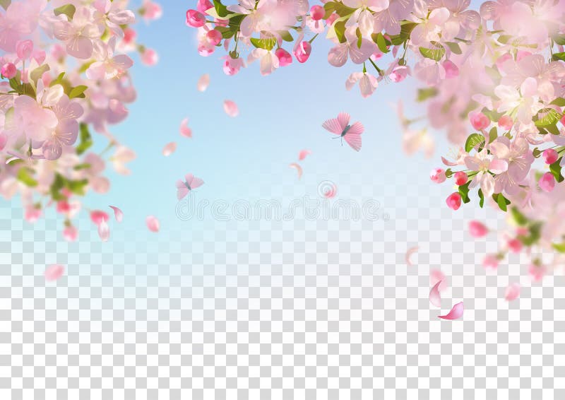 Ressort Cherry Blossom illustration de vecteur