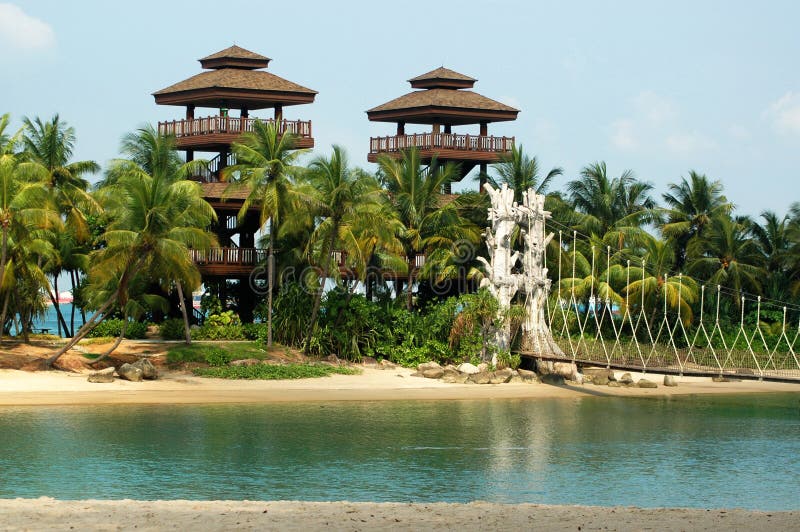 Ressource tropicale image libre de droits Ressource tropicale image libre de droits