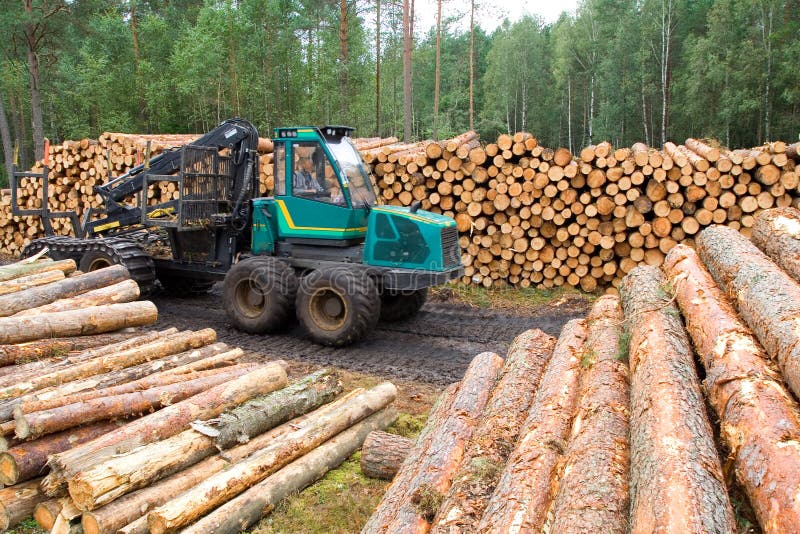 Ressources de bois de construction photographie stock libre de droits Ressources de bois de construction photographie stock libre de droits