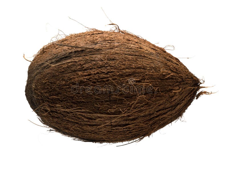 Ressources graphiques d'un objet isolé de noix de coco sur fond blanc. Ressources graphiques en fruits isolé de cocotier d'objets Nouvelle récolte d'automne de coco juteuse Gros plan de noix de coco sur fond blanc