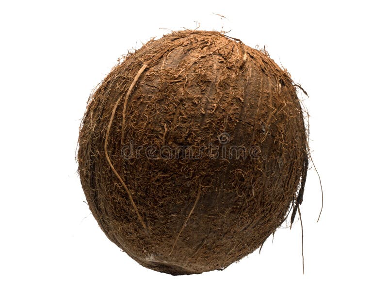 Ressources graphiques d'un objet isolé de noix de coco sur fond blanc photos libres de droits