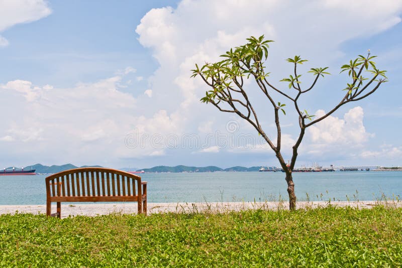 Rest bench and the tree at shore fit frame