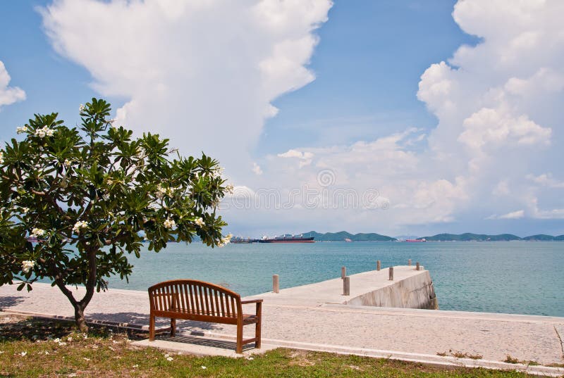 Rest bench under the tree at shore