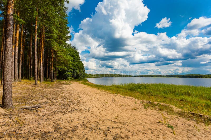 Rest on the birch pond. Forest colorful lake in clear weather. Camping by the lake