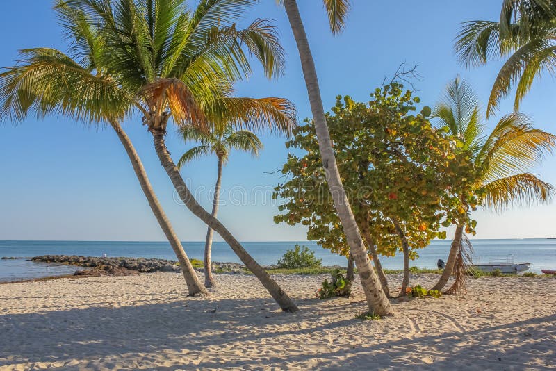 Rest-Strand in Key West