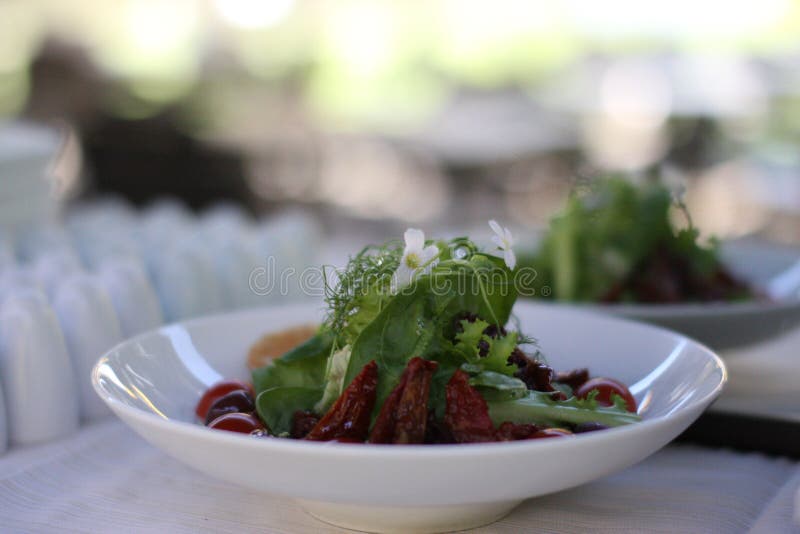 Restauracyjny koźliego sera salat z czereśniowymi pomidorami obraz royalty free Restauracyjny koźliego sera salat z czereśniowymi pomidorami obraz royalty free