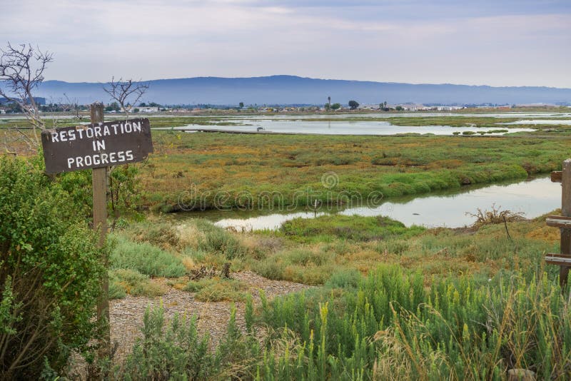 Restoration sign in the wetlands in Alviso Marsh, Don Edwards wildlife refuge, south San Francisco bay, California. Restoration sign in the wetlands in Alviso Marsh, Don Edwards wildlife refuge, south San Francisco bay, California