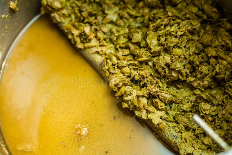 Reste von Hopfen und von ätherischen Ölen des Breis stockfoto Reste von Hopfen und von ätherischen Ölen des Breis stockfoto