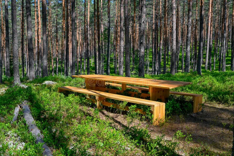 Resting area table and bench in a Swedish forest