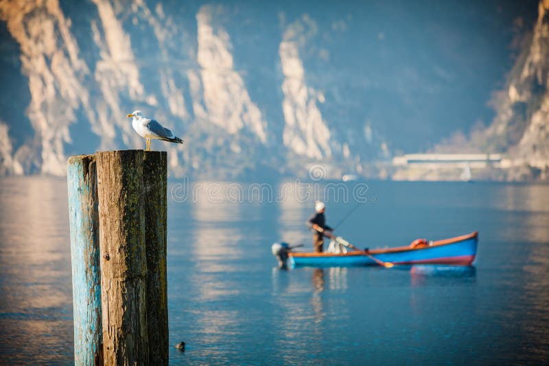 Resting seagull and fisherman. Lake Garda.