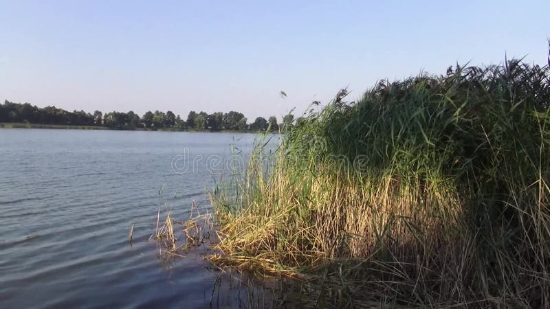 Resto en el lago Bogdanovsky