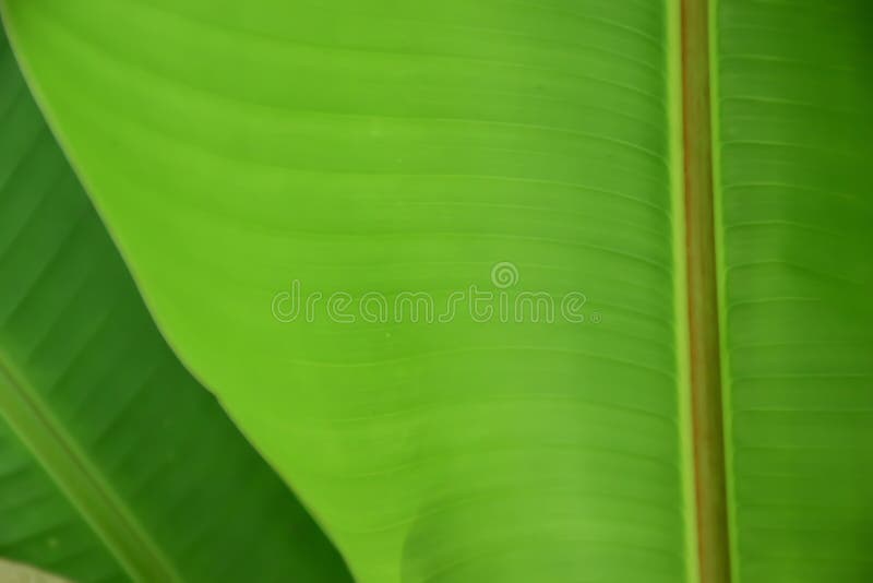 Resumo e fundo fotos de stock royalty free