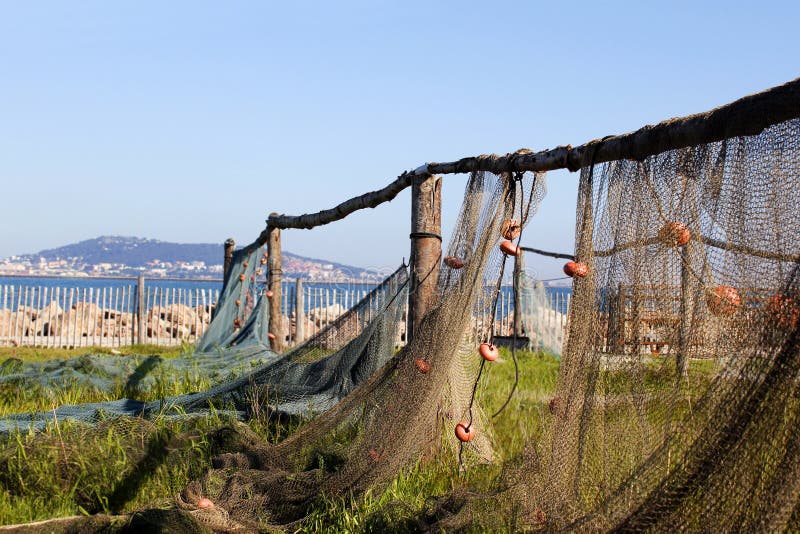 2 Pezzi Rete Da Pesca Decorativa Per Foto Decorazione Della Rete